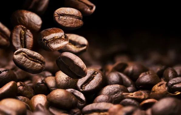 Macro, coffee, grain