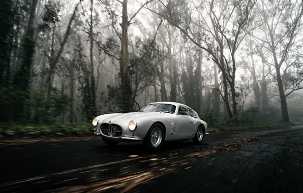 Forest, Classic, Car, 1956, Maserati A6G 2000 Berlinetta