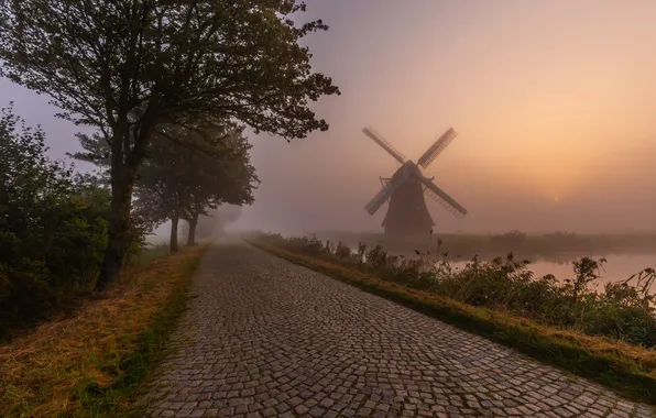 Road, trees, sunset, fog, shore, tile, windmill