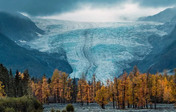Picture glacier, Alaska, USA, National Park Kenai fjords