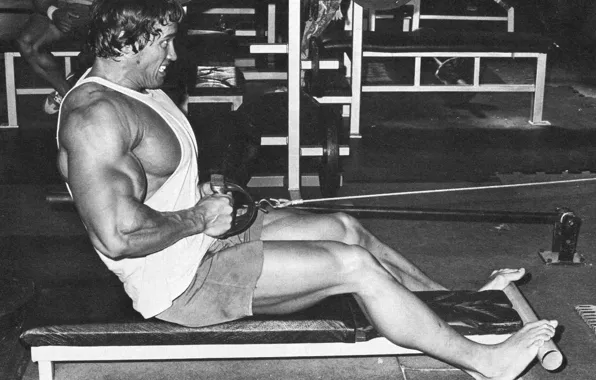 Sport, man, actor, bodybuilder, Arnold, Schwarzenegger, arnold schwarzenegger