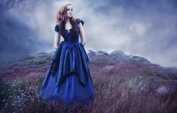 Field, the sky, girl, flowers, blue, nature, hair, dress