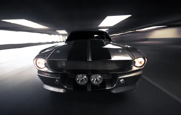 Picture speed, Ford, Shelby, silver, Eleanor, GT 500, muscle car, Ford