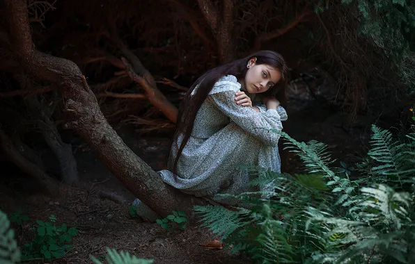 Forest, girl, trees, Dmitry Begma