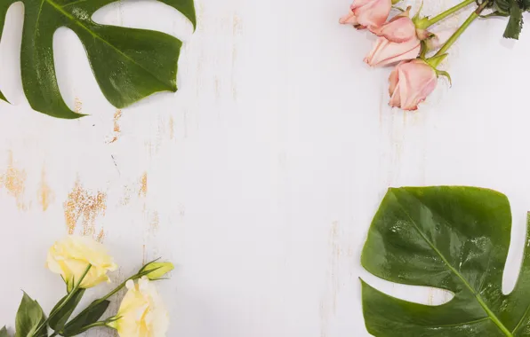 Leaves, roses, eustoma