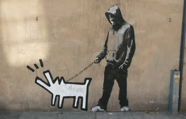 Wallpaper Graffiti, Banksy, Haring dog for mobile and desktop, section ...