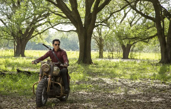 AMC, tv series, Netflix, Into the Badlands