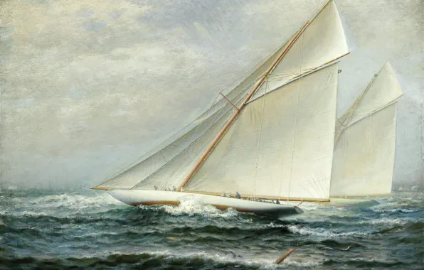 Picture sea, picture, yachts, painting, James Gale Tyler, regatta