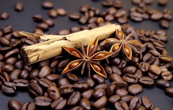 Coffee, grain, sticks, cinnamon, spices, star anise, Anis