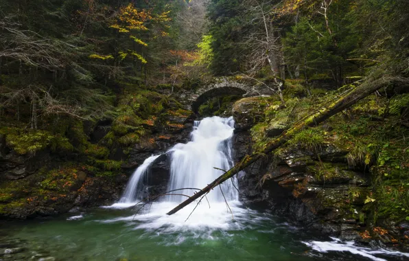 Autumn, forest, bridge, stones, rocks, shore, foliage, waterfall