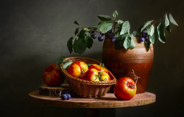 Leaves, branches, berries, the dark background, bouquet, pot, still life, network