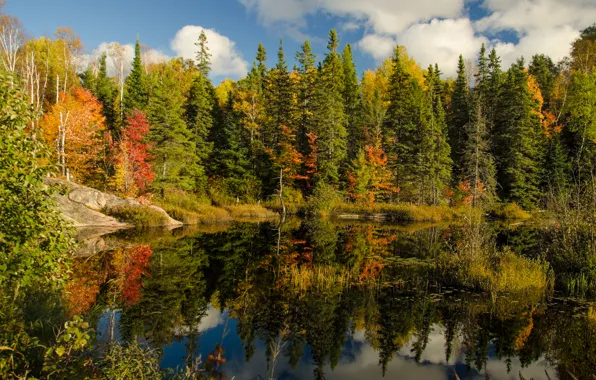 Picture autumn, forest, the sky, clouds, lake