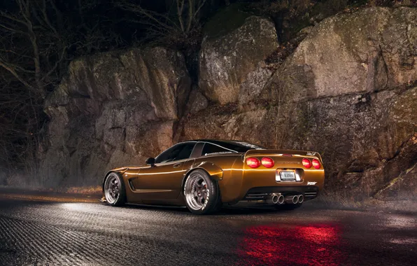 Corvette, Night, Brown, C5