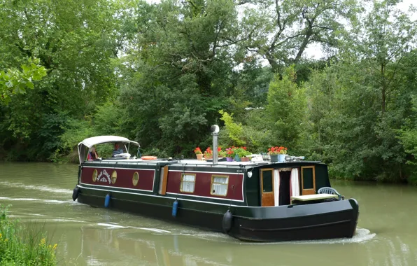 Picture forest, trees, river, Barkas, floats