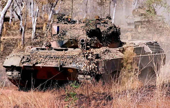 Picture tank, camouflage, .raskraska, &ampquot;Leopard&ampquot;, VS Australia