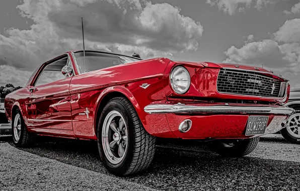 Wallpaper Mustang, Ford, The Front, 1966 Images For Desktop, Section 