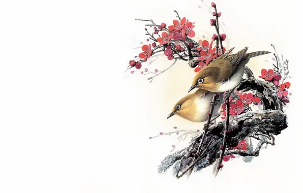 Flowers, bird, minimalism, branch, spring, East, Sakura, master