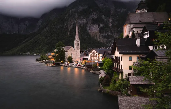 Picture forest, trees, mountains, lights, lake, rocks, shore, home