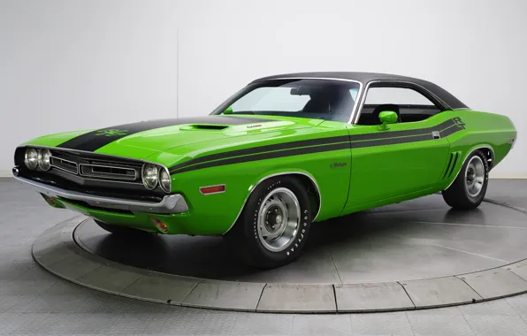 Picture background, Dodge, 1971, green, Dodge, Challenger, classic, the front
