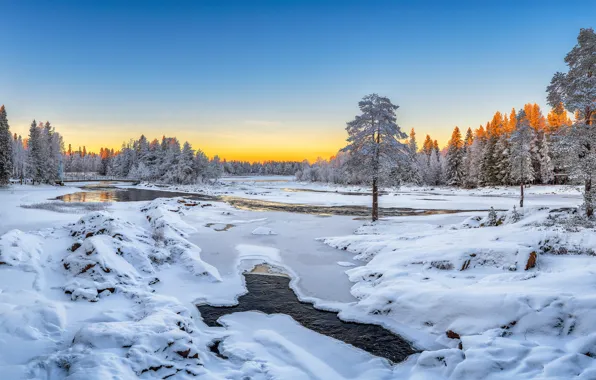 Winter, snow, trees, river, Finland, Finland, Oulu, Oulu