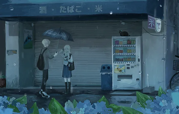 Cat, girl, rain, machine, guy
