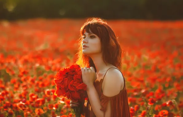 Picture field, summer, look, girl, light, flowers, pose, Maki