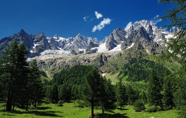Trees, mountains, Alps, Alps, Blanc, Mont Blanc