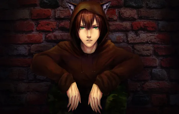 Picture wall, claws, Guy, ears, green eyes
