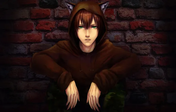 Picture wall, claws, guy, ears, green eyes