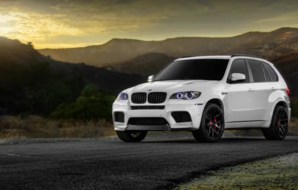 BMW, BMW, white, wheels, tuning, X5M