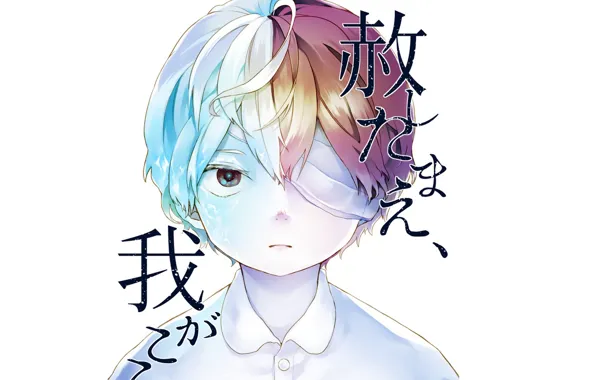 Boy, My Hero Academia, Boku No Hero Academy, Todoroki Shoto, My Hero Academy
