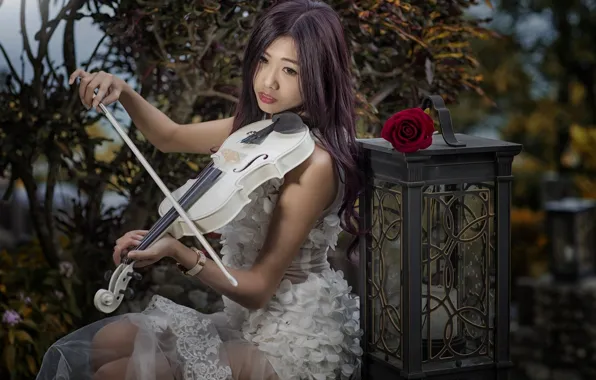 Girl, mood, violin, rose, lantern, Asian