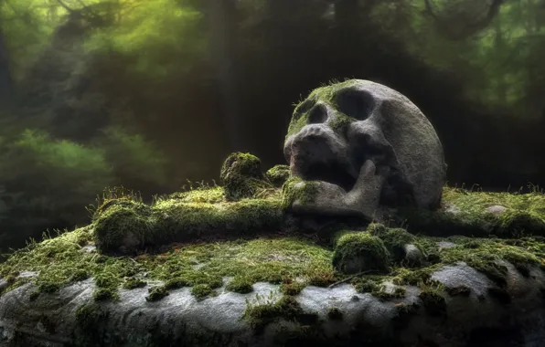 Skull, monument, cemetery