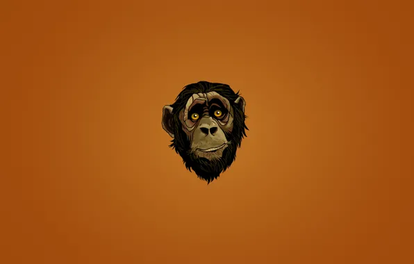 Look, face, face, minimalism, head, monkey, monkey, dark background