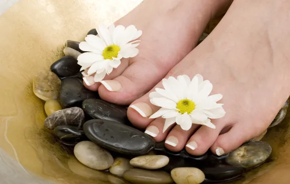 Flowers, stones, pedicure, Spa