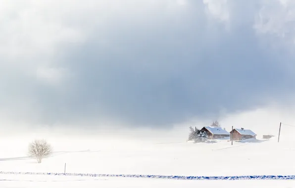 Winter, field, landscape, fog, home