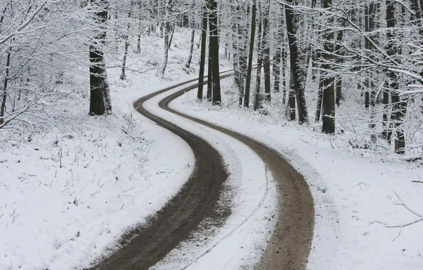 Winter, road, forest, snow