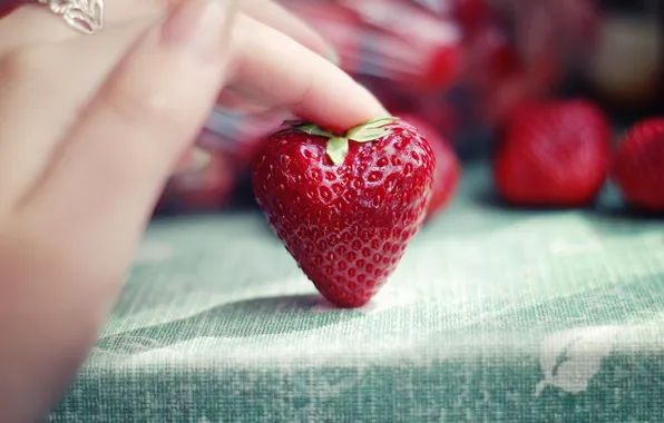 Macro, hand, strawberry, berry, PAL