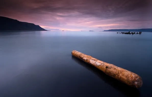 Picture sunset, surface, Bay, log