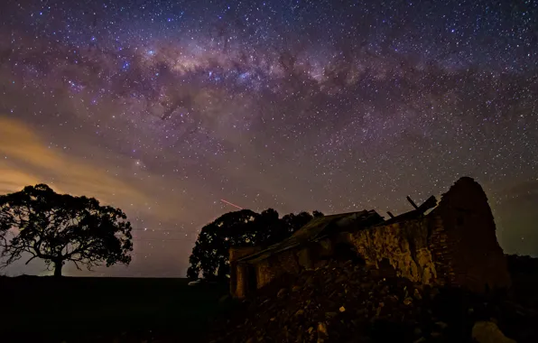 Space, stars, trees, night, space, ruins, the milky way