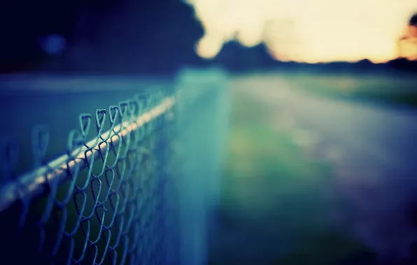 Road, greens, the sky, grass, macro, background, mesh, the fence