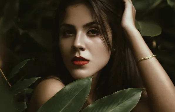 Face, portrait, brunette