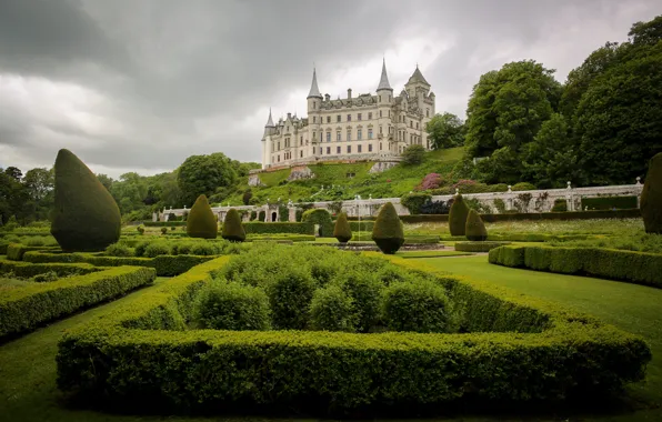 Picture trees, Park, castle, Scotland, the bushes, Scotland, Sutherland, Dunrobin Castle