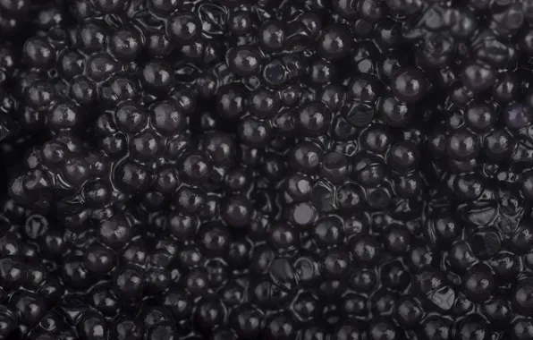 Black, caviar, granular