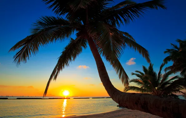 Sea, the sky, the sun, sunset, Palma, the ocean, the Maldives