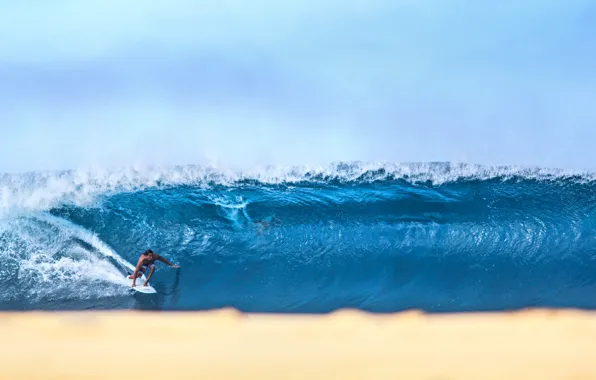 Picture wave, beach, the sky, surfer, surfing, extreme sports, barrel