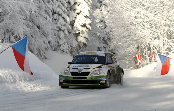 Winter, Snow, Forest, Race, The hood, WRC, Rally, Rally