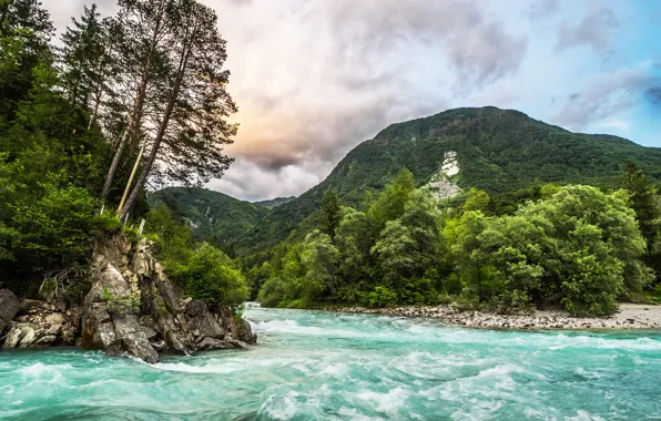 Forest, clouds, trees, mountains, river, stones, for, Slovenia