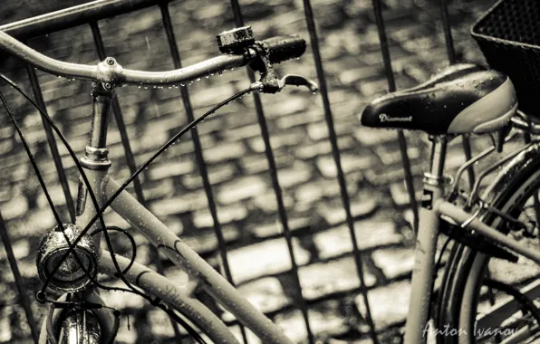 Rain, Style, Bike, Technique