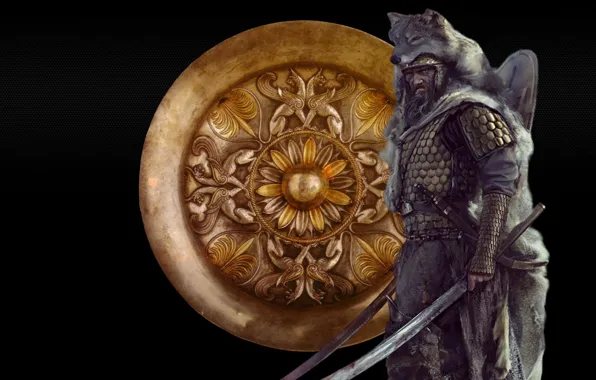 Warrior, Armor, Duck, Mariusz Kozik, Dacian Warrior, Falcons, Wolfskin